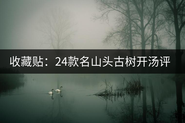 收藏貼:24款名山頭古樹開湯評(píng)測 收藏貼:24款名山頭古樹開湯評(píng)測