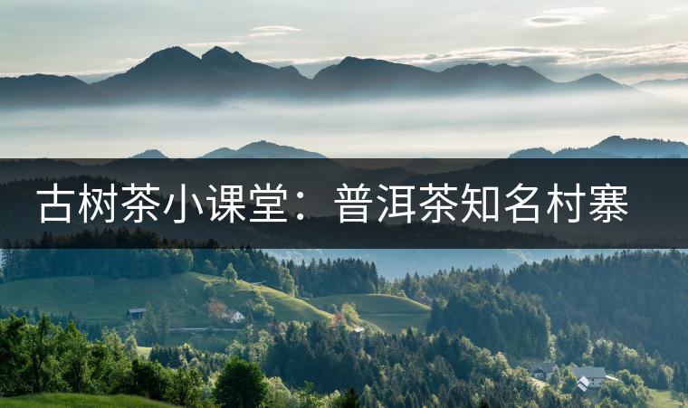 古樹茶小課堂：普洱茶知名村寨的生態(tài)環(huán)境如何？