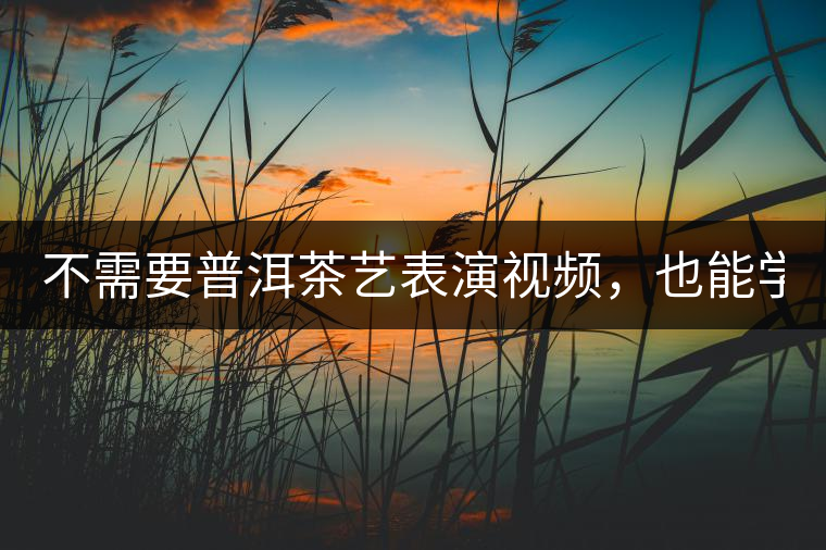 不需要普洱茶藝表演視頻，也能學(xué)會的茶藝！