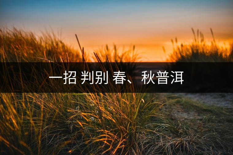 一招 判別 春、秋普洱