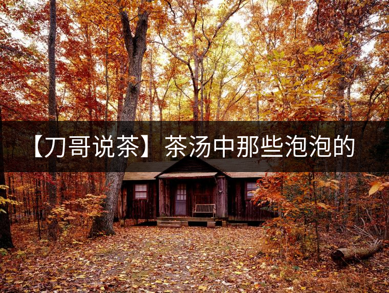 【刀哥說茶】茶湯中那些泡泡的始作俑者，茶皂素只是其中一個