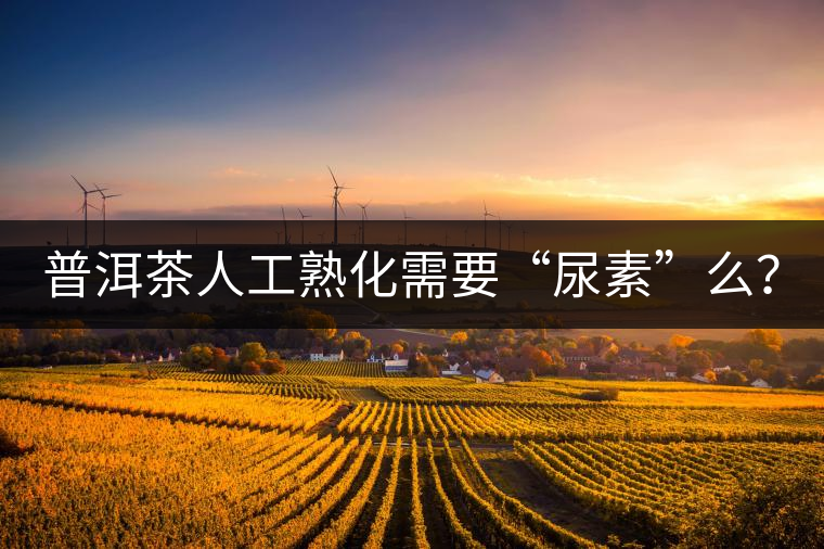 普洱茶人工熟化需要“尿素”么？