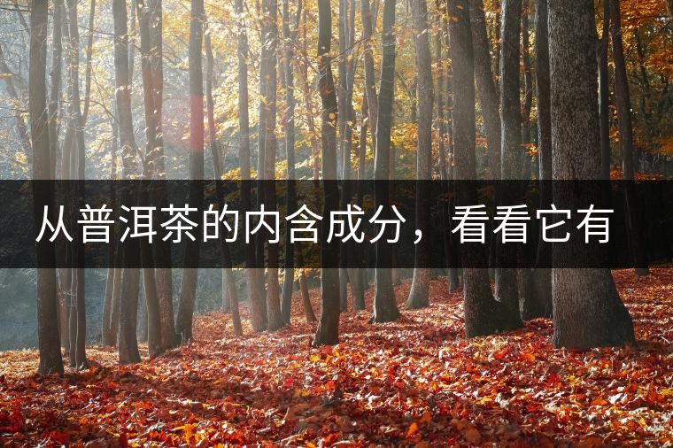 從普洱茶的內(nèi)含成分，看看它有什么功效？