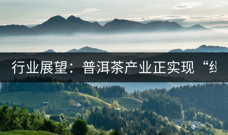 行業(yè)展望：普洱茶產(chǎn)業(yè)正實(shí)現(xiàn)“綠色崛起”