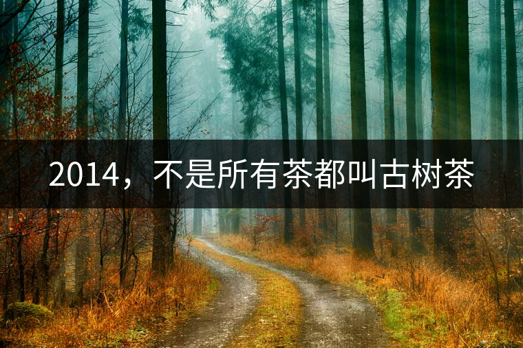 2014，不是所有茶都叫古樹茶