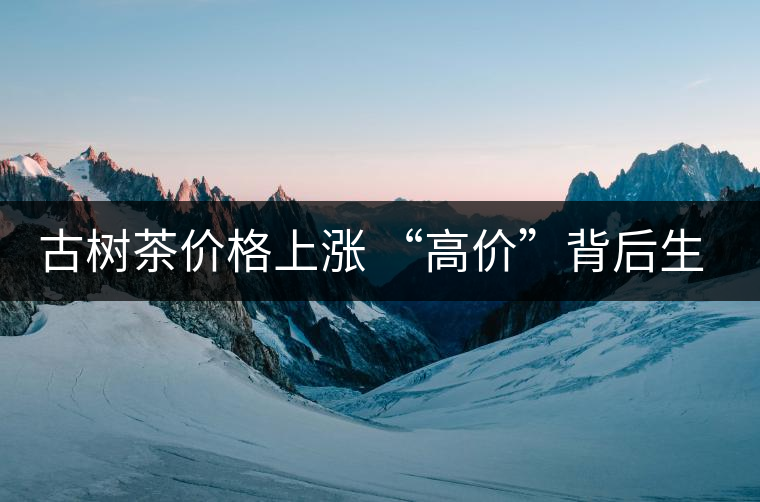 古樹茶價(jià)格上漲 “高價(jià)”背后生態(tài)環(huán)境令人擔(dān)憂