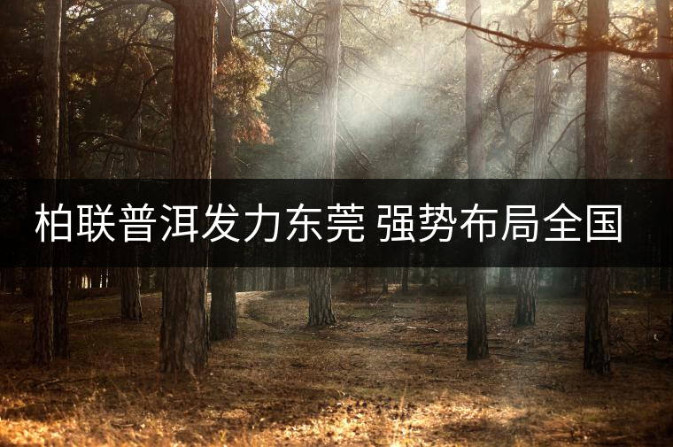 柏聯(lián)普洱發(fā)力東莞 強(qiáng)勢(shì)布局全國(guó)茶市