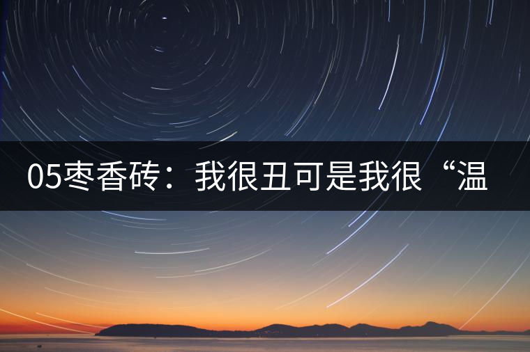 05棗香磚：我很丑可是我很“溫柔”