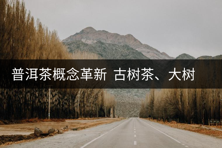 普洱茶概念革新  古樹茶、大樹茶定位被再次厘清