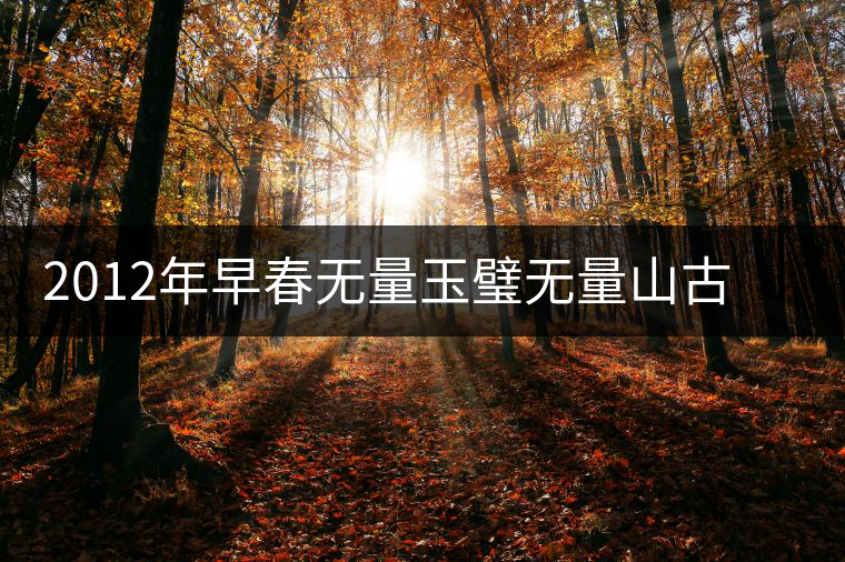 2012年早春無(wú)量玉璧無(wú)量山古樹(shù)純料普洱茶生茶餅 2012年早春無(wú)量玉璧無(wú)量山古樹(shù)純料普洱茶生茶餅