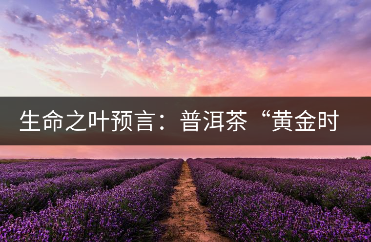生命之葉預(yù)言:普洱茶“黃金時(shí)代”即將再度來臨 生命之葉預(yù)言:普洱茶“黃金時(shí)代”即將再度來臨