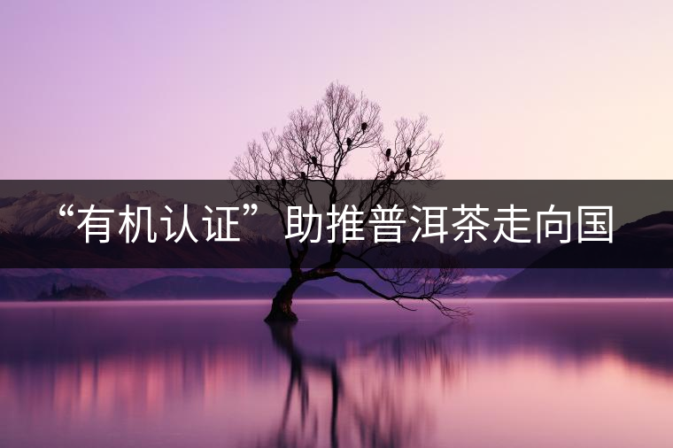 “有機(jī)認(rèn)證”助推普洱茶走向國(guó)際