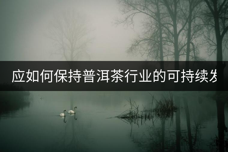 應(yīng)如何保持普洱茶行業(yè)的可持續(xù)發(fā)展？