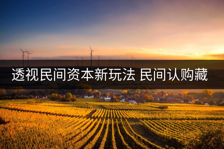 透視民間資本新玩法 民間認(rèn)購(gòu)藏茶獲利按比分成