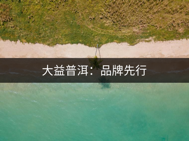 大益普洱：品牌先行