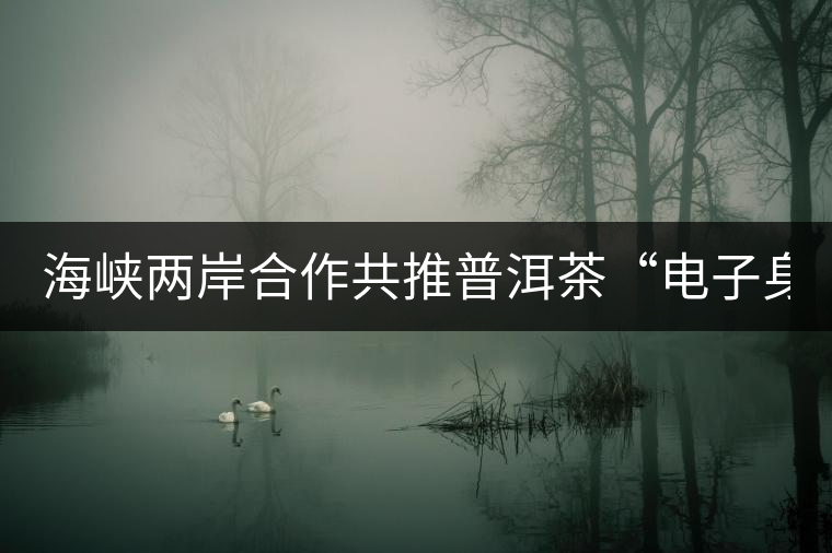 海峽兩岸合作共推普洱茶“電子身份證” 海峽兩岸合作共推普洱茶“電子身份證”