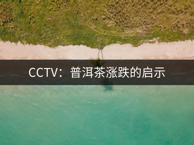 CCTV：普洱茶漲跌的啟示