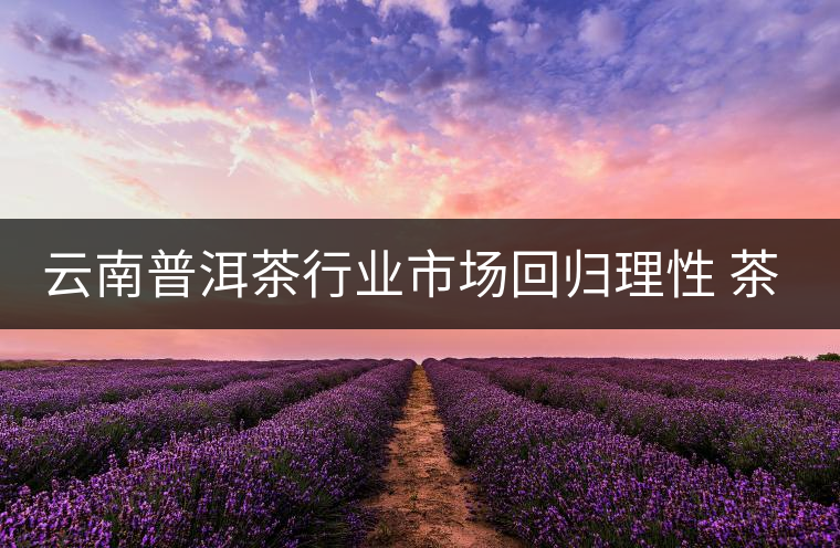 云南普洱茶行業(yè)市場(chǎng)回歸理性 茶商發(fā)力消費(fèi)市場(chǎng)