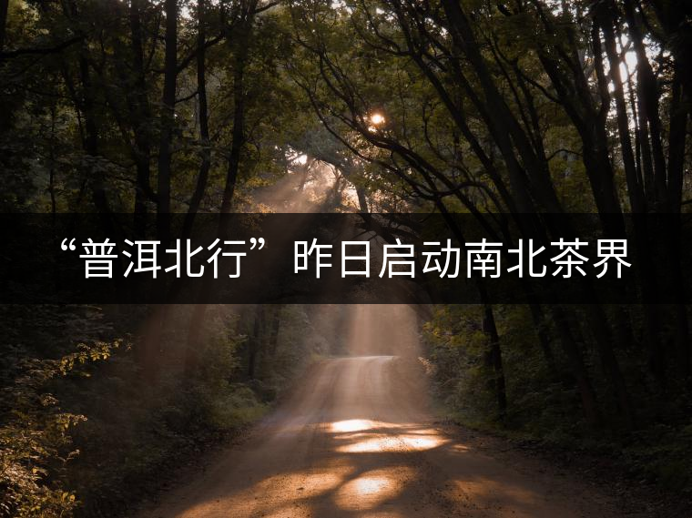 “普洱北行”昨日啟動南北茶界在津論劍