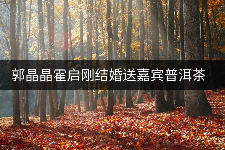 郭晶晶霍啟剛結(jié)婚送嘉賓普洱茶當(dāng)禮物 郭晶晶霍啟剛結(jié)婚送嘉賓普洱茶當(dāng)禮物