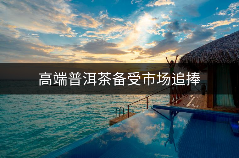 高端普洱茶備受市場追捧