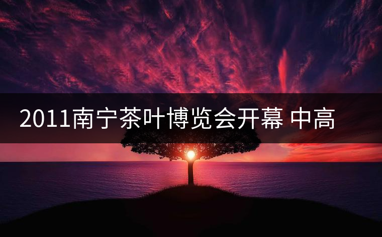 2011南寧茶葉博覽會開幕 中高檔普洱茶受追捧 2011南寧茶葉博覽會開幕 中高檔普洱茶受追捧