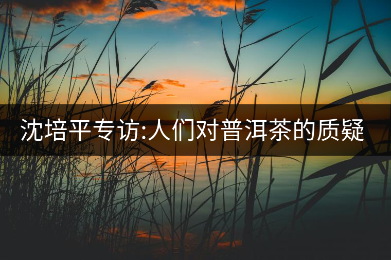 沈培平專訪:人們對普洱茶的質(zhì)疑有三大好處 沈培平專訪:人們對普洱茶的質(zhì)疑有三大好處