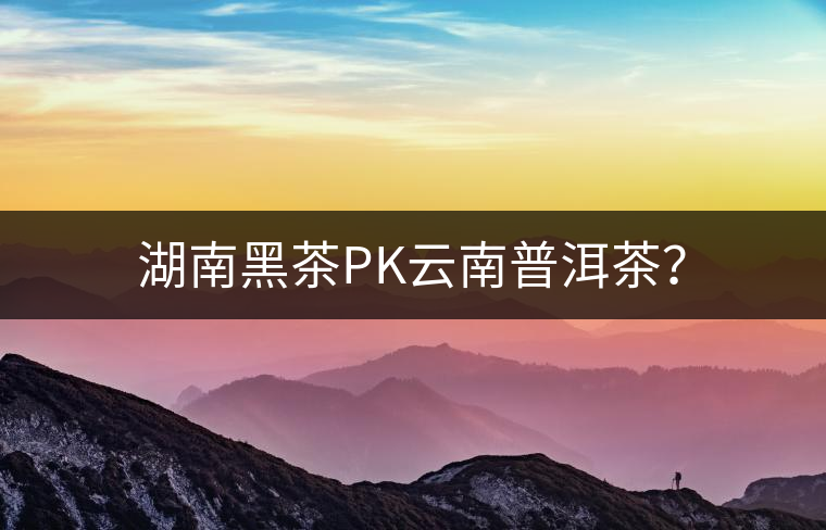 湖南黑茶PK云南普洱茶？