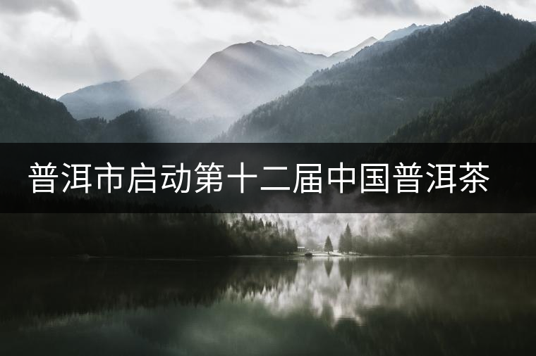 普洱市啟動第十二屆中國普洱茶節(jié)籌備工作