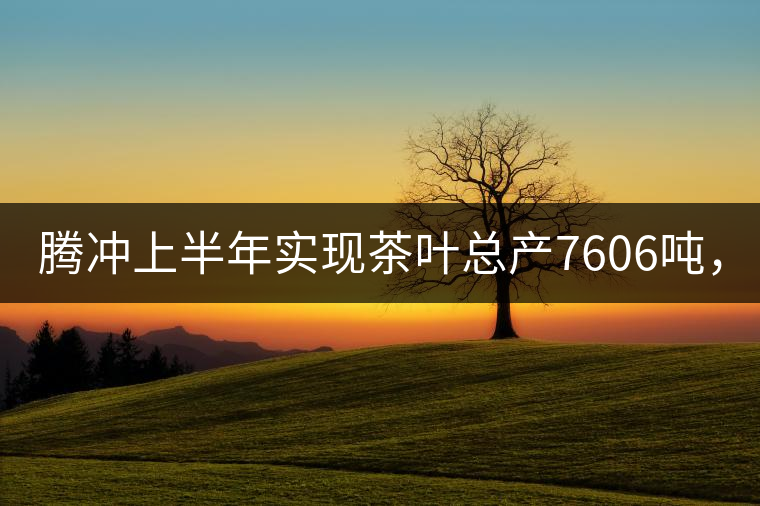 騰沖上半年實現(xiàn)茶葉總產(chǎn)7606噸，總產(chǎn)值5.58億元