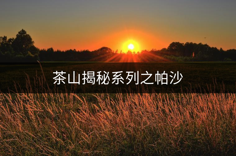 茶山揭秘系列之帕沙