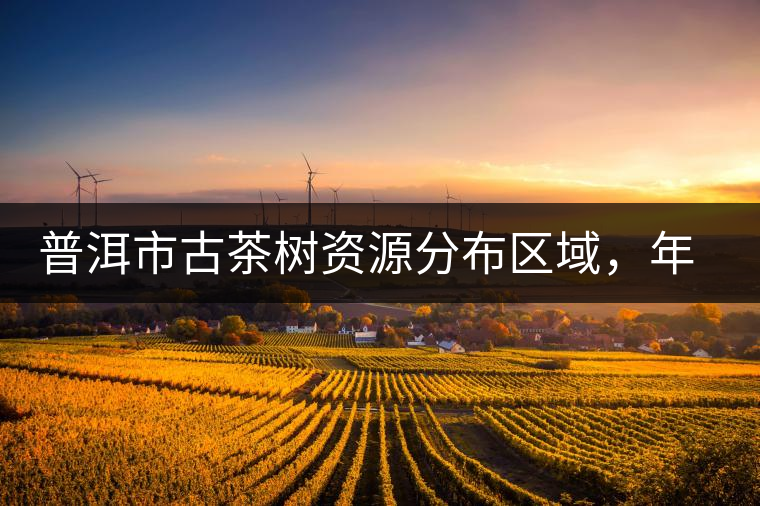 普洱市古茶樹資源分布區(qū)域，年產(chǎn)量多少?