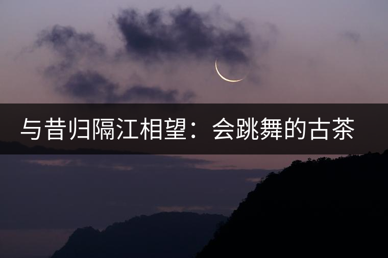 與昔歸隔江相望:會(huì)跳舞的古茶樹(shù) 與昔歸隔江相望:會(huì)跳舞的古茶樹(shù)