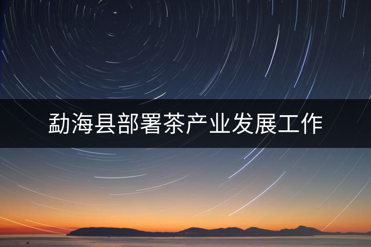 勐?？h部署茶產(chǎn)業(yè)發(fā)展工作