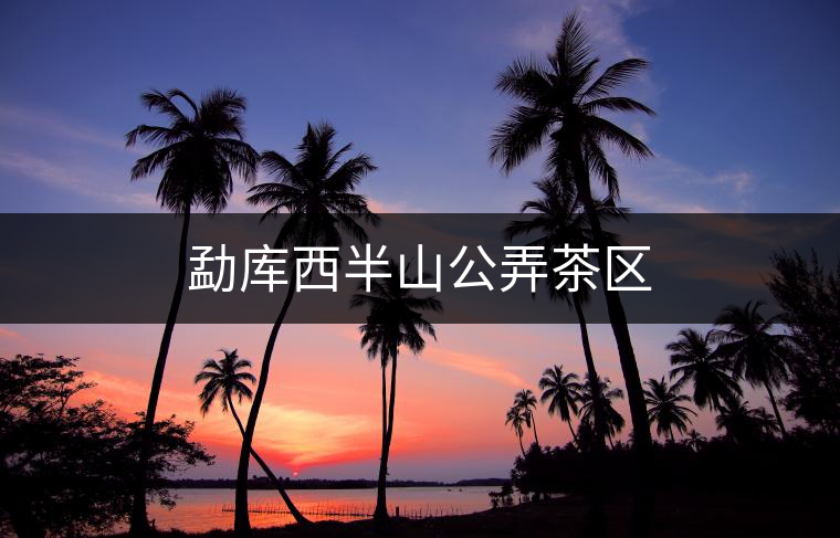 勐庫西半山公弄茶區(qū) 勐庫西半山公弄茶區(qū)