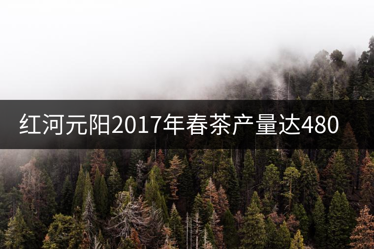 紅河元陽(yáng)2017年春茶產(chǎn)量達(dá)480噸，產(chǎn)值近900萬(wàn)元
