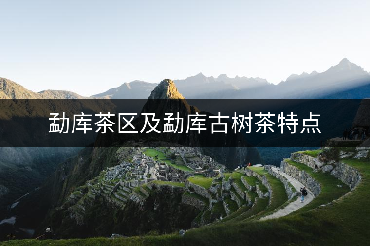 勐庫(kù)茶區(qū)及勐庫(kù)古樹(shù)茶特點(diǎn)