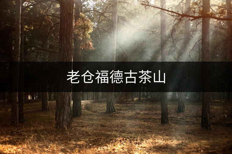 老倉福德古茶山