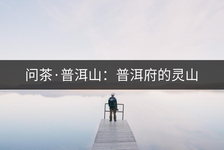 問(wèn)茶·普洱山:普洱府的靈山 問(wèn)茶·普洱山:普洱府的靈山