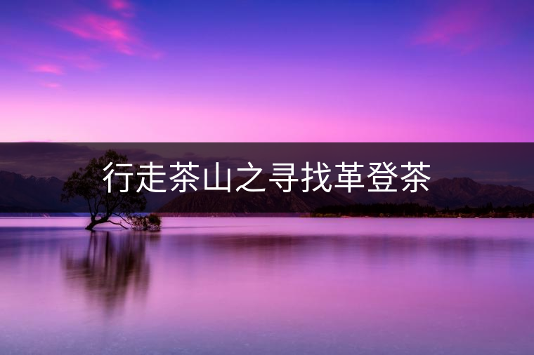 行走茶山之尋找革登茶 行走茶山之尋找革登茶