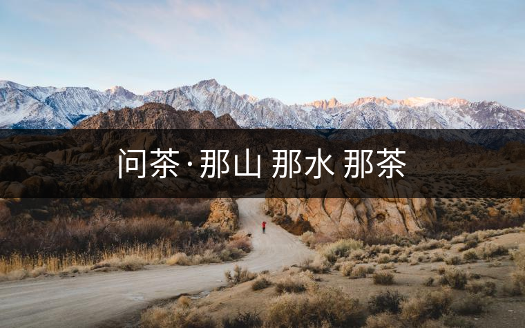 問(wèn)茶·那山 那水 那茶
