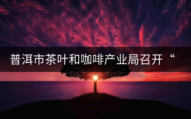 普洱市茶葉和咖啡產(chǎn)業(yè)局召開“新三板”培訓(xùn)座談會