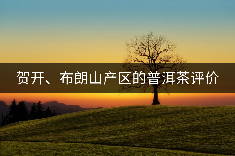 賀開、布朗山產(chǎn)區(qū)的普洱茶評價