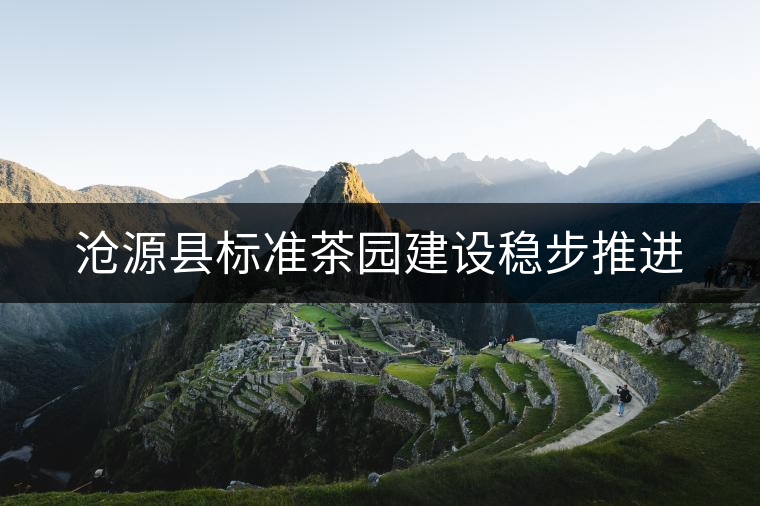 滄源縣標(biāo)準(zhǔn)茶園建設(shè)穩(wěn)步推進(jìn)