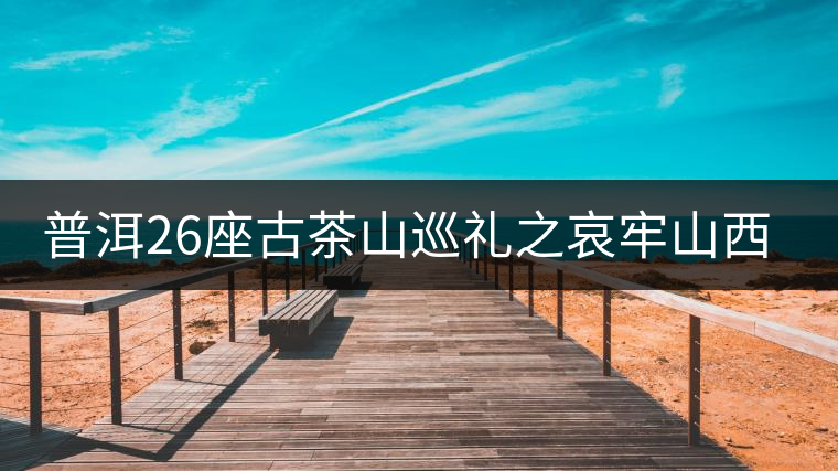 普洱26座古茶山巡禮之哀牢山西坡古茶山