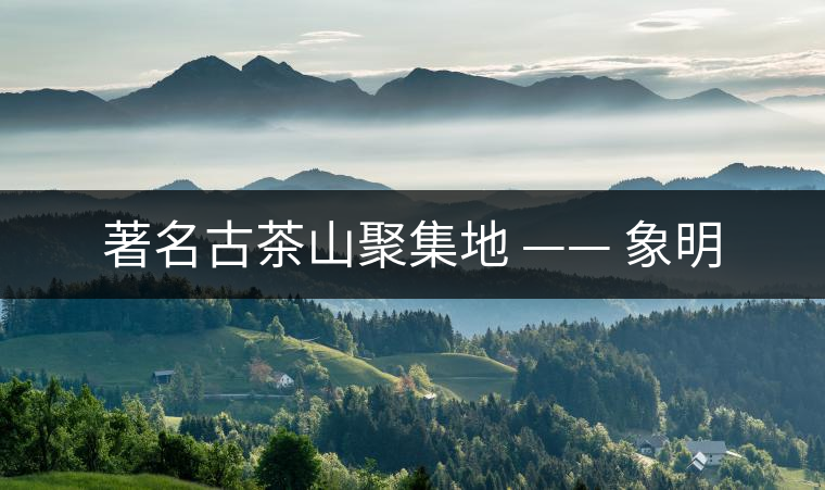 著名古茶山聚集地 —— 象明