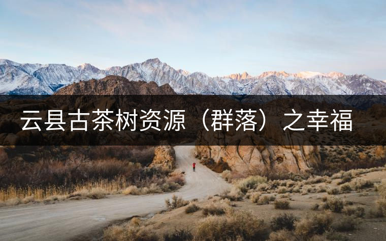 云縣古茶樹(shù)資源（群落）之幸福鎮(zhèn)大宗山