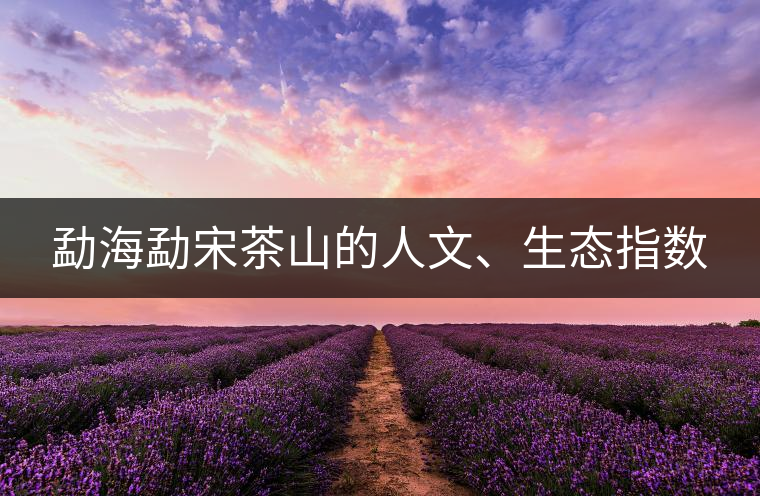 勐海勐宋茶山的人文、生態(tài)指數(shù)