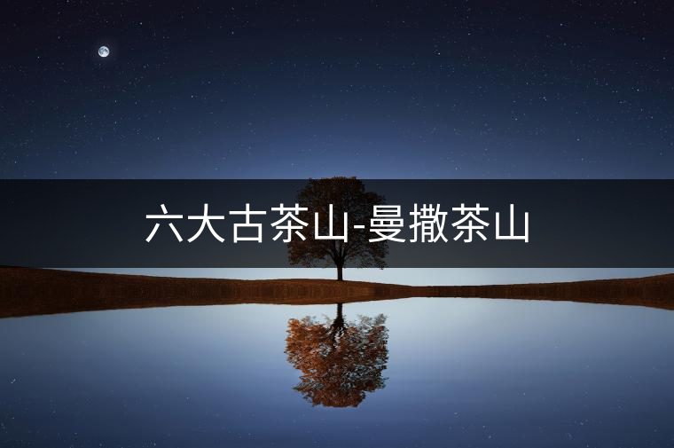 六大古茶山-曼撒茶山