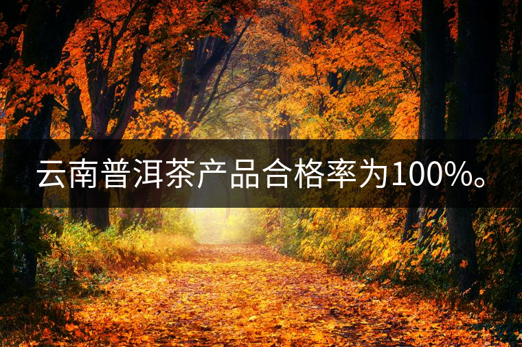 云南普洱茶產(chǎn)品合格率為100%。